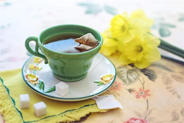 菊の7月管理：摘心・肥料・水やりで秋の花を激増させる方法